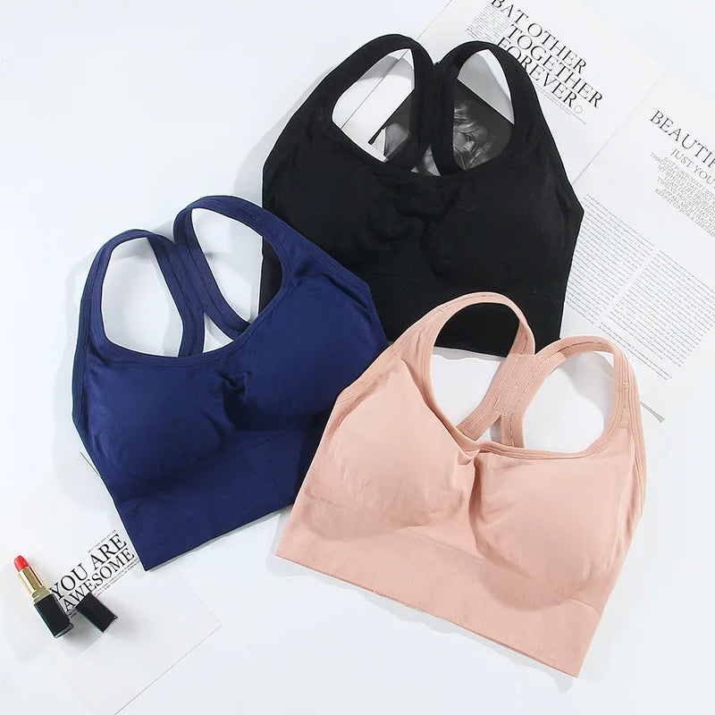 Quick Dry Padded Sports Bra